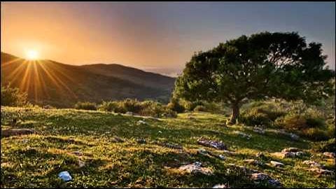 سوره الصافات صوت جميل للقارئ يوسف