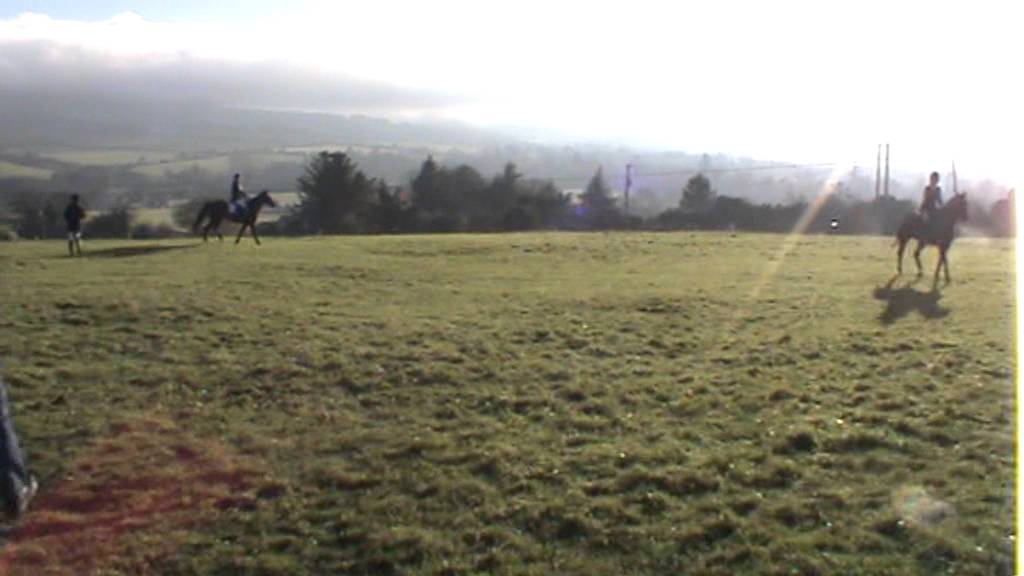 South County Dublin Hunt 30/11/2013 YouTube