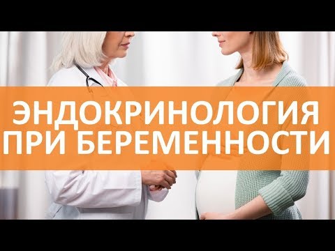 🔵Эндокринология и беременность ¦ Эндокринология ¦ Семейный доктор