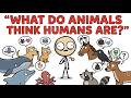 What Do Animals Think Of Humans ?