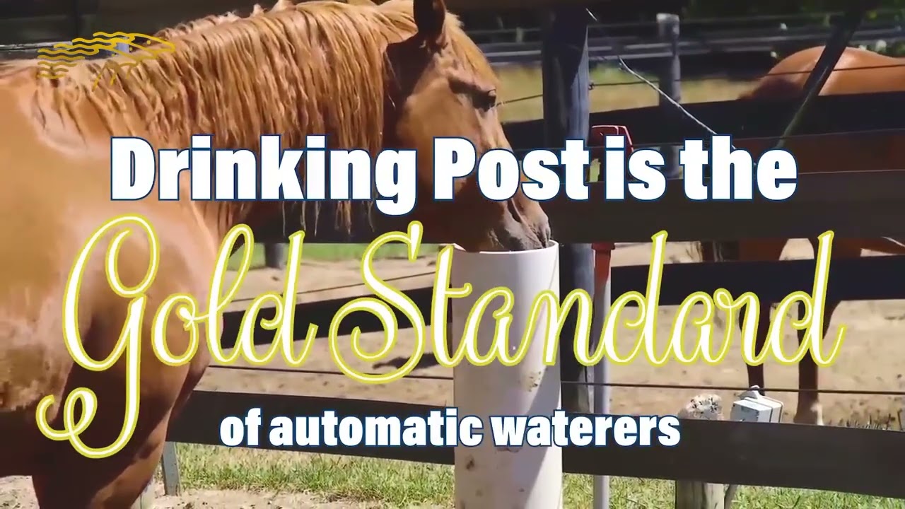 19th Annual Black And White Spider Awards Honors Diana De Rosa Photographer And Equus Television Wor