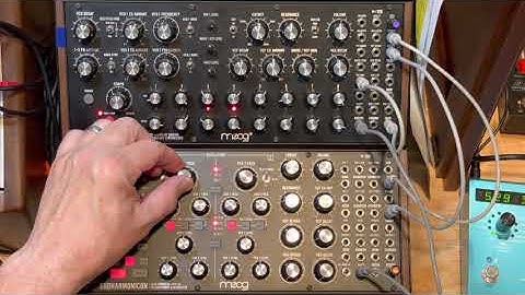 MOOG Subharmonicon + DFAM - A Simple Demo of the Grapefruit & Honey Patch by MOOG (no talking)