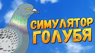 ЖЕСТКИЙ СИМУЛЯТОР ГОЛУБЯ screenshot 5