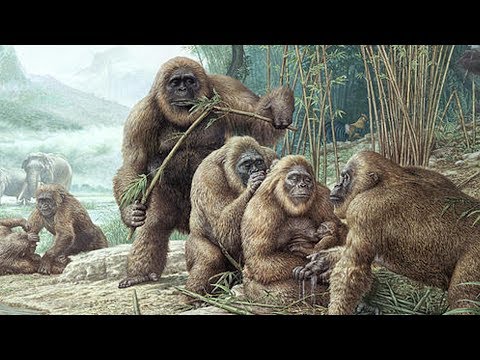 Video: 100 Thousand Years Ago, Neanderthals Actively Ate Each Other - Alternative View