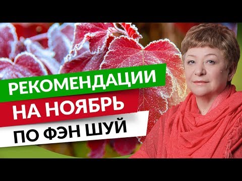 0 Рекомендации на ноябрь по Фэн-шуй