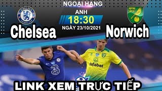 Chelsea - Norwich, 18h30 ngày 23/10, link xem trực tiếp vòng 9 Ngoại hạng Anh