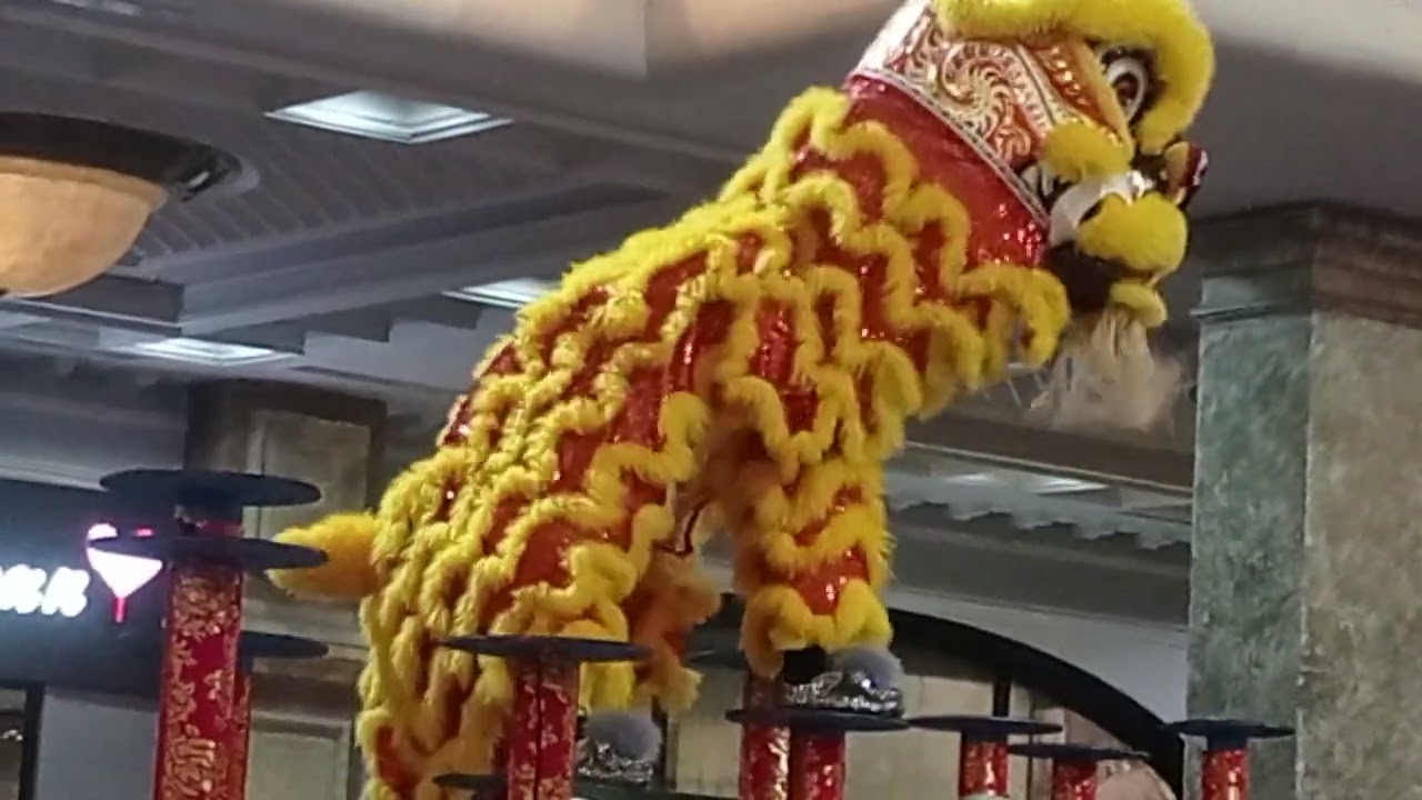 Barongsai Tonggak Sleman City Hall 22 Januari 2023