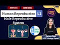 Average to Toppers: Human Reproduction L-1 | NEET Toppers | Garima Goel