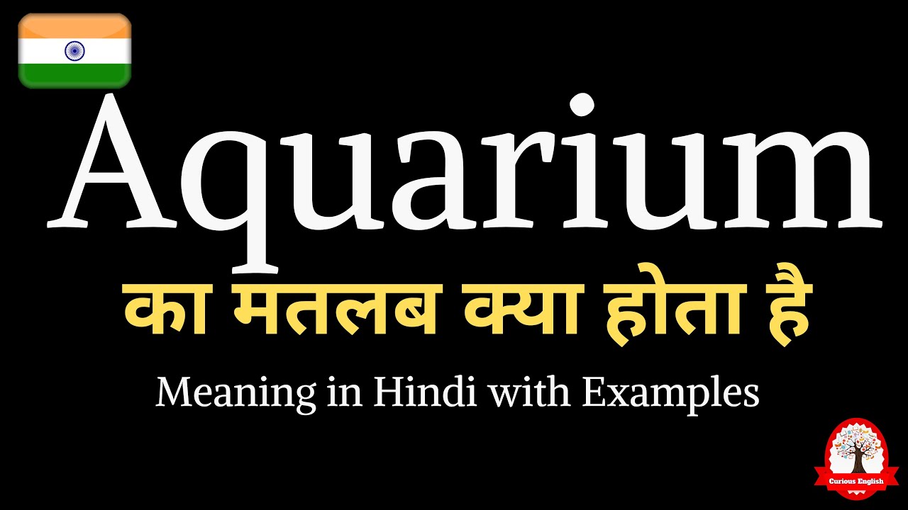 Aquarium meaning in Hindi Aquarium ka matalab kya hota hai Word