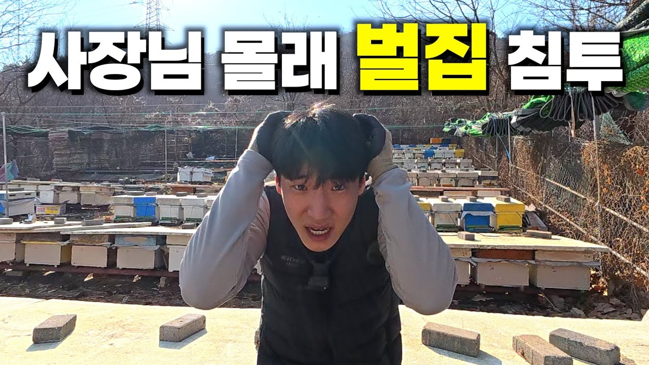 소장인 줄 모르고 나온 꿀벌 사장님의 반응