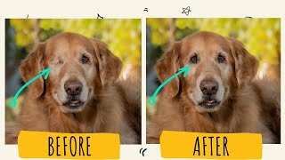 Adding a Missing Eye in Photoshop screenshot 4