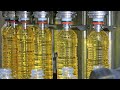 How sunflower oil is made  amazing sunflower oil factory