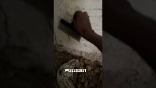 #pestmanagement #home #ihavethisthingwithplants #construction