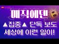 [매직에덴 코인 전망 분석] ◆집중◆ 단독보도 ｜세상에 이런 일이!