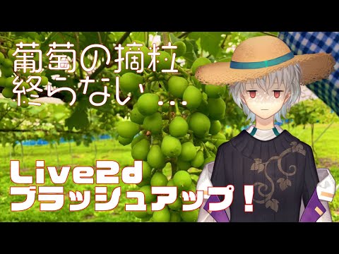 【農業雑談】無限葡萄摘粒編＆Live2dブラッシュアップ！【 京都みこ / Vtuber 】