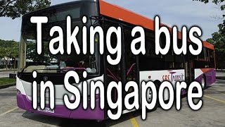 Taking a bus in Singapore