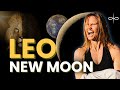 Embodied Astrology July 21 27 New Moon In Leo Mars Kali Activation Mercury Retrograde Insights Embodied Astrology July 21 27 New Moon In Leo Mars Kali Activation Mercury Retrograde Insights