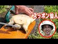 【マルコス驚愕】プロによるスッポン解体