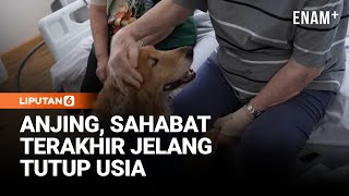Download Lagu Anjing Terapi, Menghadirkan Senyum di Hari-Hari Terakhir Pasien | Liputan6 MP3