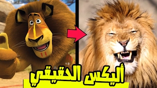 شخصيات فيلم مدغشقر في الحياة الحقيقية