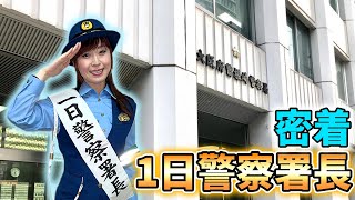 【密着】塩乃華織が一日警察署長になりました！【大阪府警察】