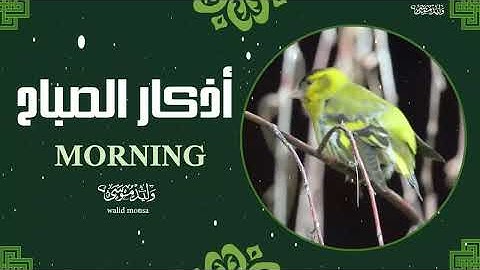 أذكار الصباح تلاوة خاشعة تبعث الطمأنينة والراحة النفسية | Morning Azkar Spiritual Quranic Suppplik