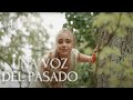 UNA VOZ DEL PASADO (4) ¡El amor no tiene límites! Películas Completas En Español