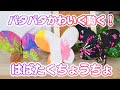 【保育園・幼稚園】簡単手作り仕掛けおもちゃ♪パタパタ羽ばたく動くちょうちょの作り方