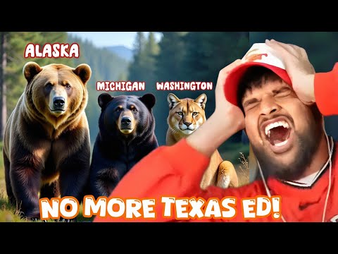 RDC And Chat Tries To Learn: The Most Dangerous Animals In Each State