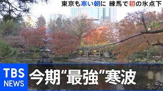 東京は1度下回る冷え込み、日比谷公園池に氷 神奈川で「気嵐」も