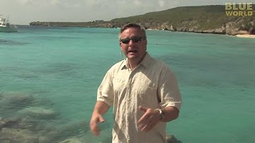 BLUE WORLD TOOLS OF THE TRADE Introduction