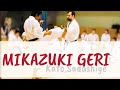 Mikazuki geri training. Kato Sadashige.