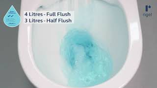 Rigel Whirlwash Flush