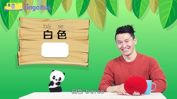 How to Talk about Colors in Chinese | Learn Mandarin with Lingo Bus
