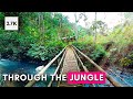Jungle Virtual Tour Walk In Bali Indonesia Rainforest【4K 60fps】GoPro Hero8 Walk Through