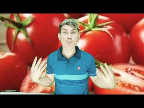 Vídeo: Por Que Os Tomates Sonham?