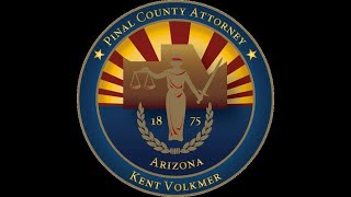 The Diversion Program