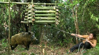 FULL VIDEO: 300 days of survival, wild boar hunting skills, wild boar traps, Survival alone