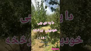 شکلا دی آفغان ۔خوشال بابا کلام ۔Afghan