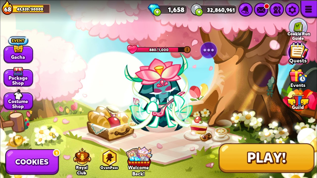 Snapdragon cookie как получить. Snapdragon cookie как получить