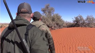 WILD&WONNERLIK, Seisoen 5, Episode 35 screenshot 4