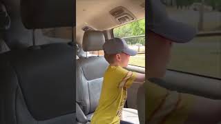 Friendly Zebra Tries to Reach the Inside of a Vehicle to Demand a Snack