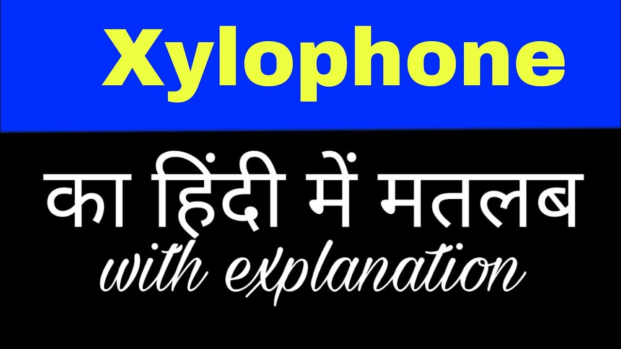 xylophone essay in hindi
