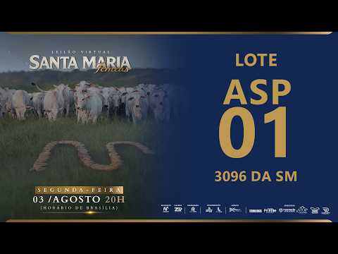 ASP 01 FSMA 3096