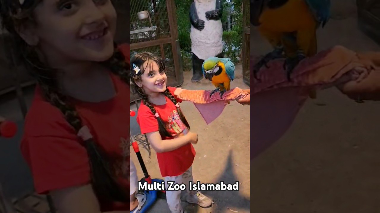 Multi Zoo Park B-17 Islamabad 