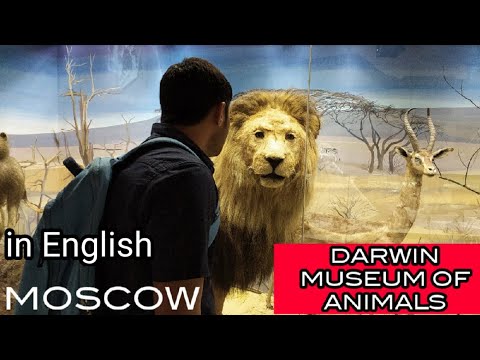 Video: Darwin Museum in Moscow. Darwin Museum, Moscow - address