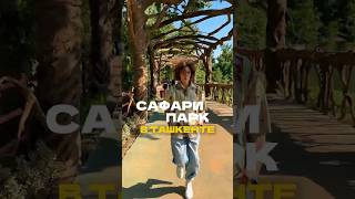 Magic Safari в картах отмечены. Район Сергели. Парк культуры и отдыха (Напротив бизнес-центра Asko)