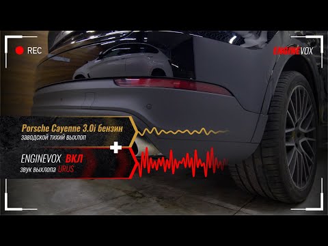 Видео: Porsche Cayenne 3.0i бензин с активной электронной выхлопной системой #ENGINEVOX