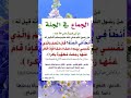 الجماع في الجنة لا تنسى الاعجاب بالفيديو