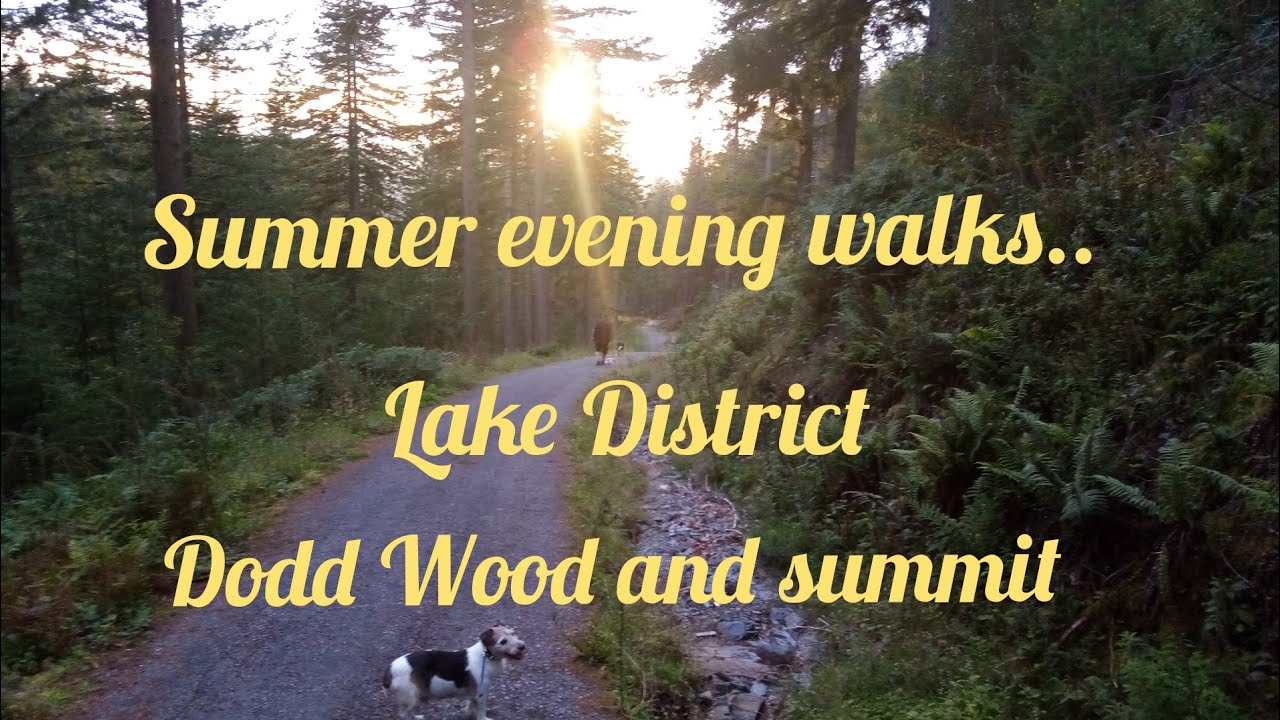 Dodd Wood/Dodd summit 30/07/2020